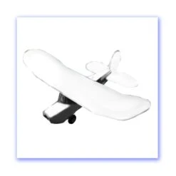 Free Bee Large EPP Indoor / Park Flier (White)