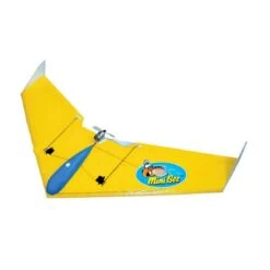 Windrider Mini Bee EPP Flying Wing