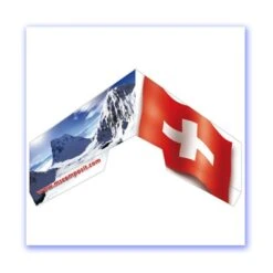 MS Swift II Flying Wing Alpine Flyer F