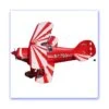 E-Flite Pitts S-1S 850mm PNP EFL3575 -Century Store 403964