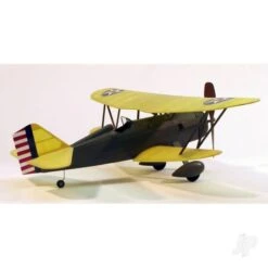 Curtiss P-6E Hawk (44.5cm) (219) 5500834