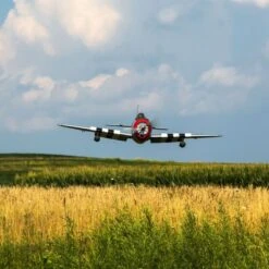 P-47D Thunderbolt 20cc A-HAN2990 -Century Store A HAN2990 Q