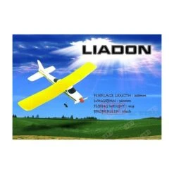 Liadon Micro Plane With C03 Motor