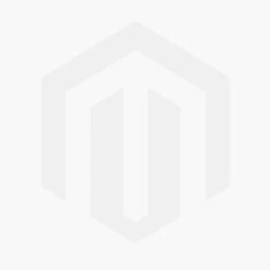 WINDRIDER BEEVOLUTION ELECTRIC FLYING WING -Century Store photo 2018 06 28 11 10 22