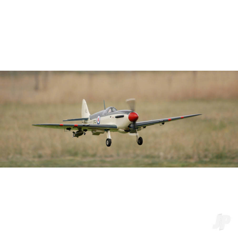 Century Store -Century Store z6442380036716 664a7df2e208299f6b2fead6752d9f03